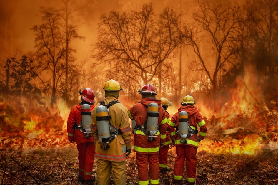 Incendies de forêt vont croître avec le changement climatique