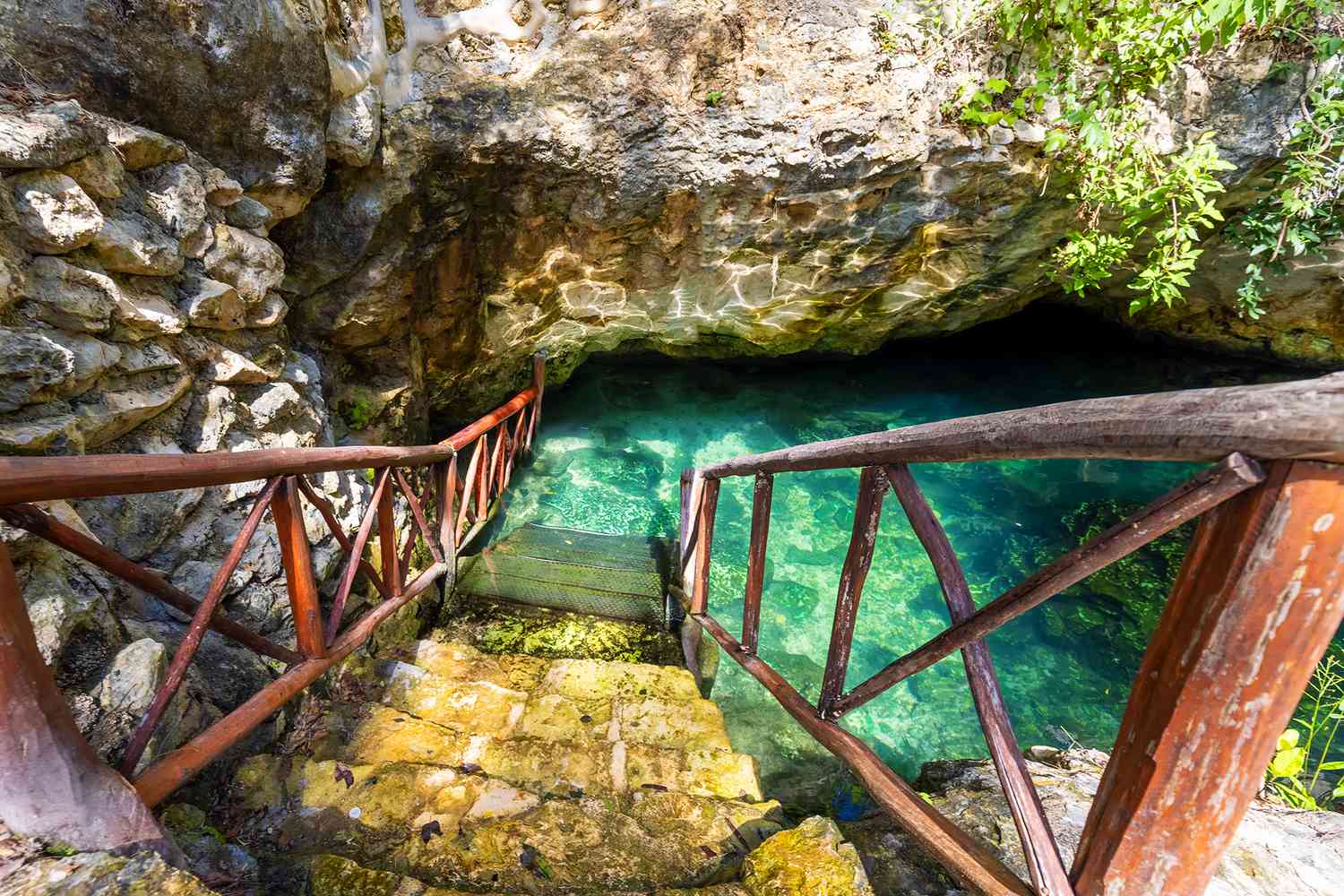 14 Cenotes Magnifiques à Découvrir à Tulum