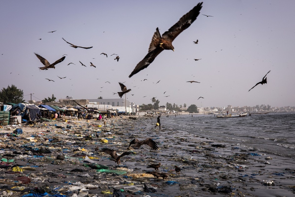 Baie de Hann au Sénégal, du paradis au cloaque industriel