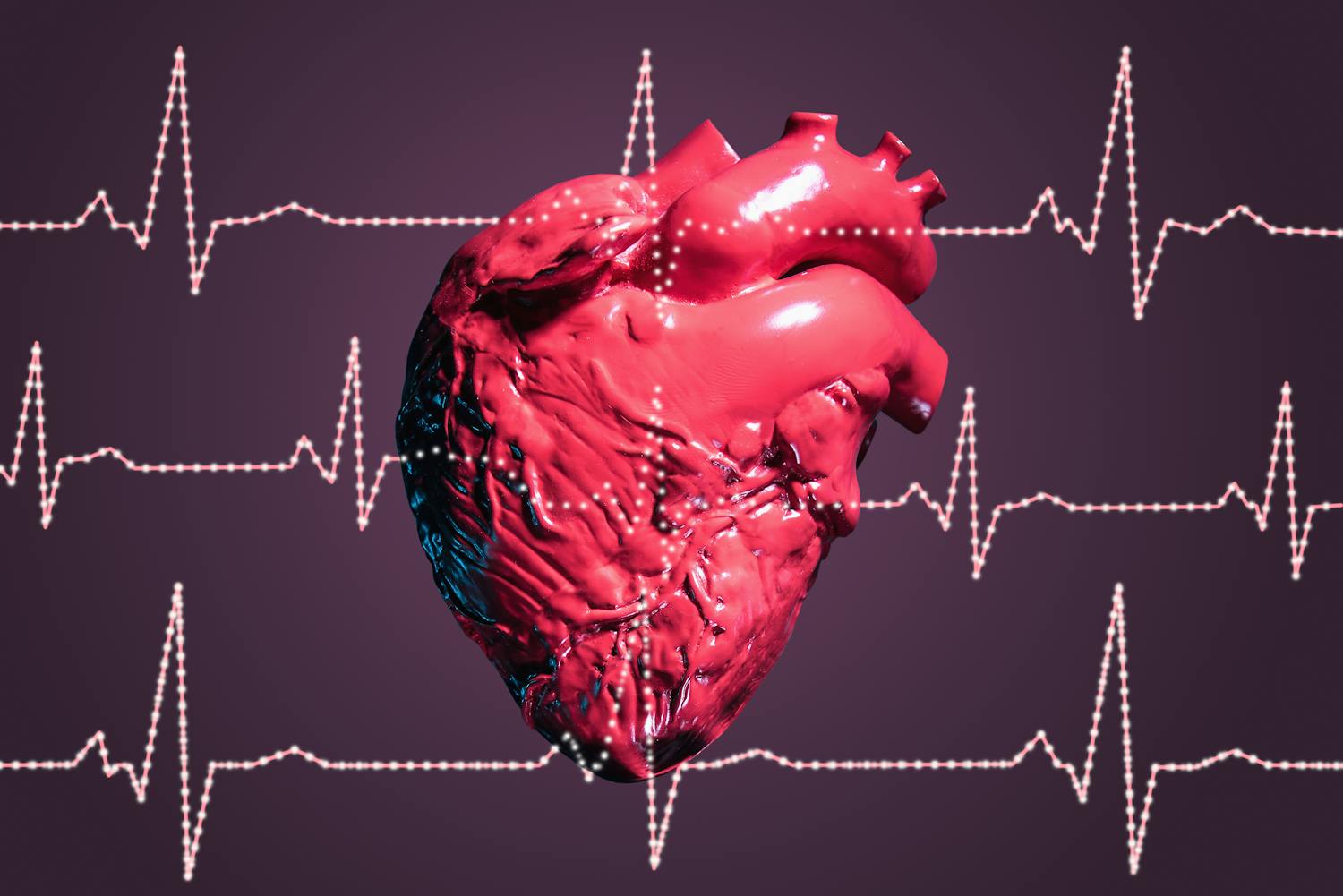 Création de mini-cœurs humains synthétiques contre les maladies cardiaques