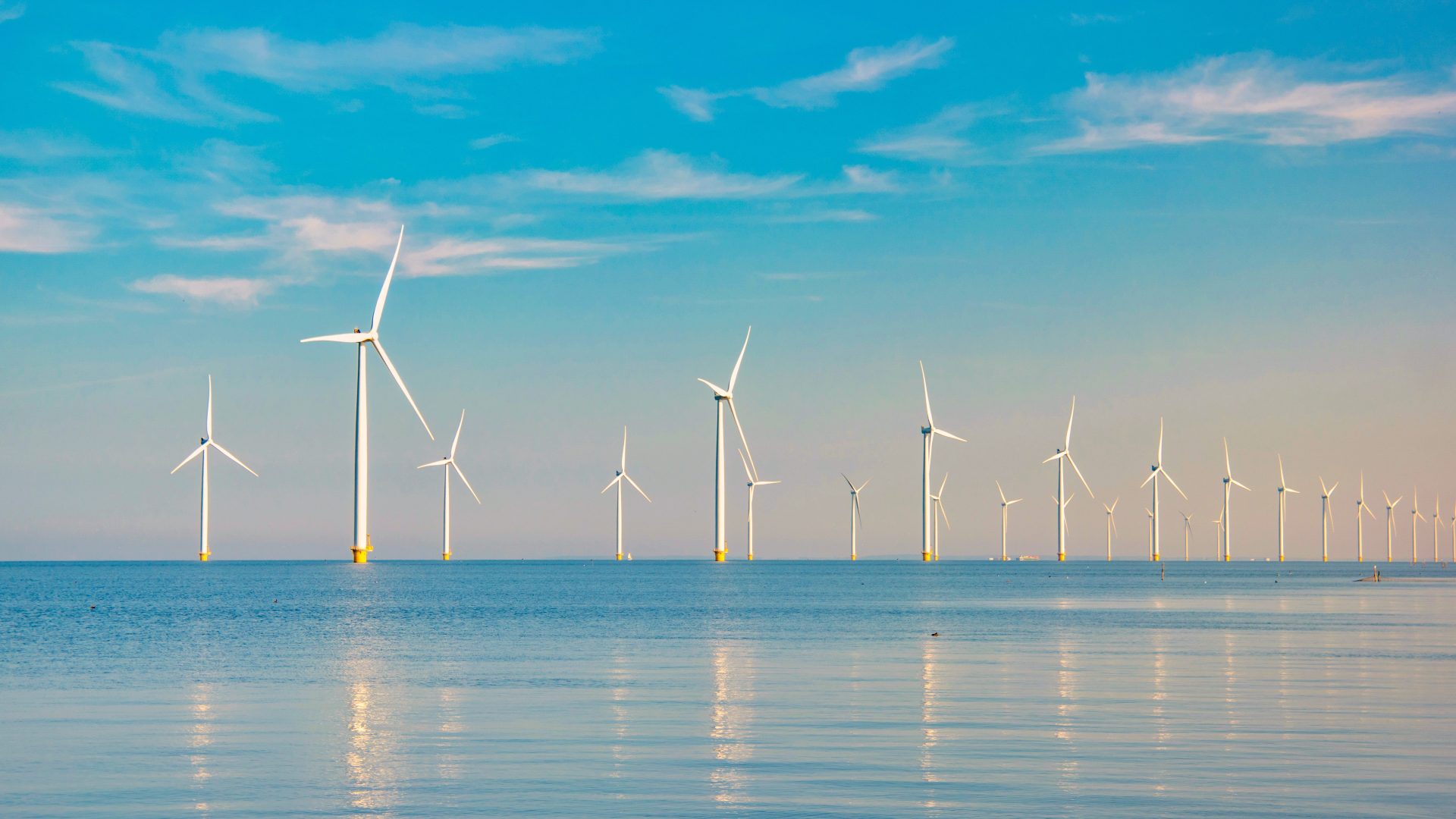 Google achète la plus grande ferme éolienne des Pays-Bas pour de l'énergie propre