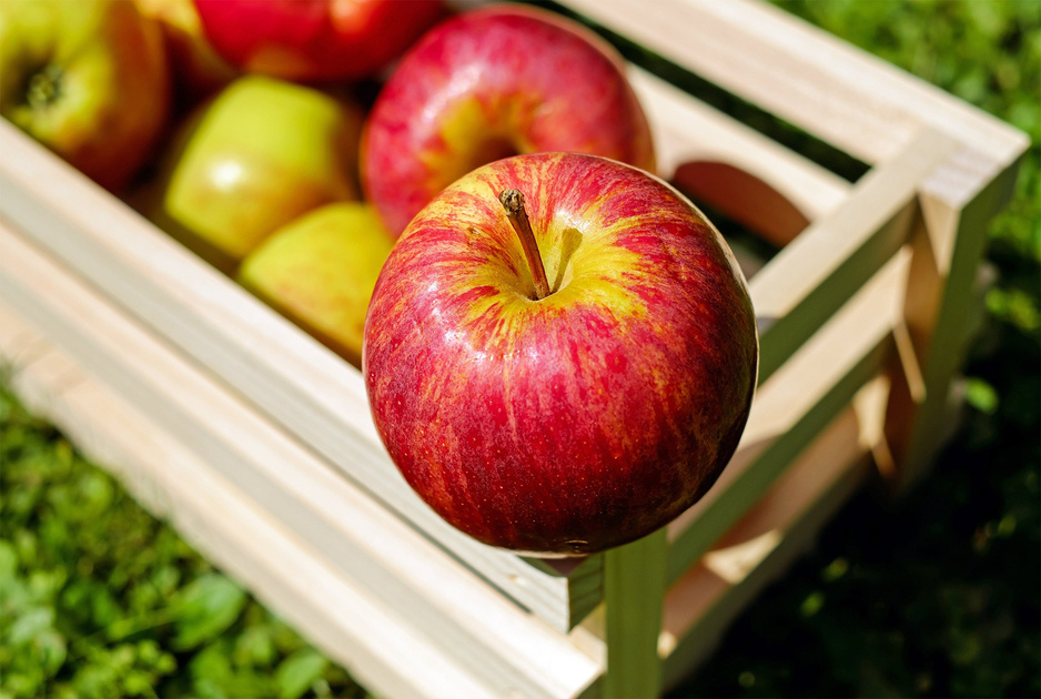 Symptômes d’allergie aux pommes : Ce qu’il faut savoir