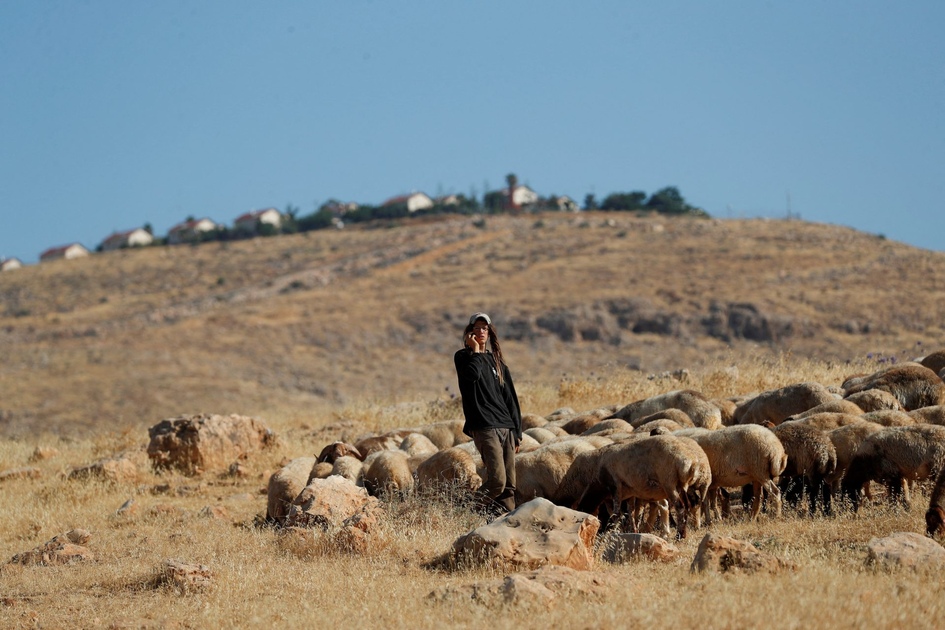 La Vallée du Jourdain, le garde-manger de la Cisjordanie