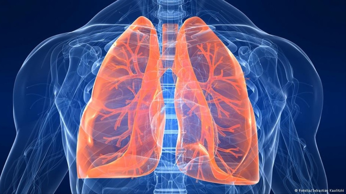 Les poumons communiquent avec le cerveau lors d'infections