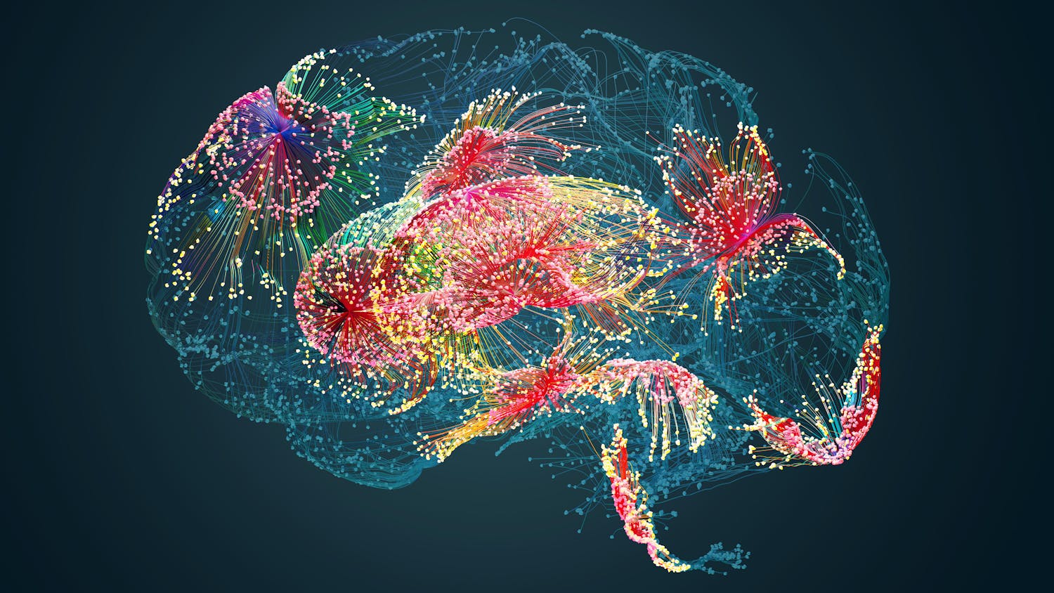 Une chercheuse crée un logiciel IA pour mieux analyser les IRM cérébrales.jpeg