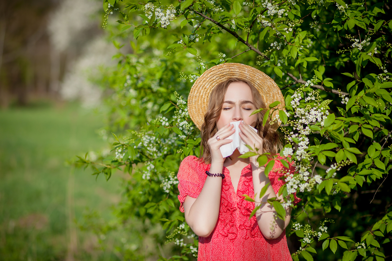 Allergies au Pollen - Ce Chocolat Peut Soulager vos Symptômes