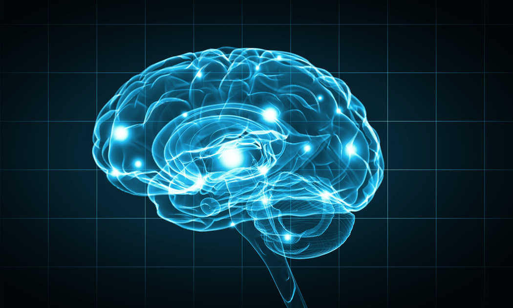 Découverte IRM Cérébrale Ultra Puissante Révèle le Cerveau en Détail Inédit