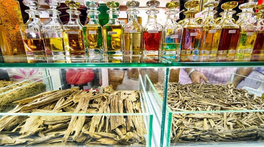 Extraction d'algues, un parfum plus précieux que l'or