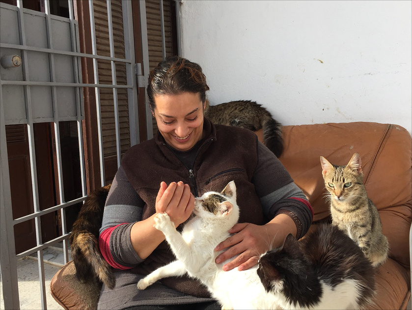 Houda Bouchedda sauve 400 chats et 22 chiens de la rue