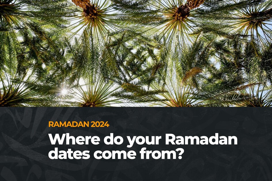 Ramadan 2024, d'où proviennent vos dattes ? Découvrez-le