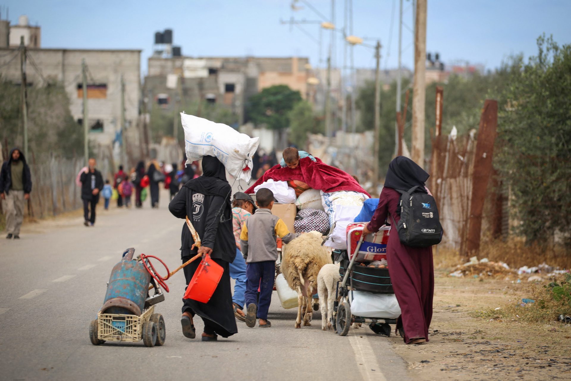 Alerte mondiale sur l'invasion de Rafah et le déplacement forcé des habitants