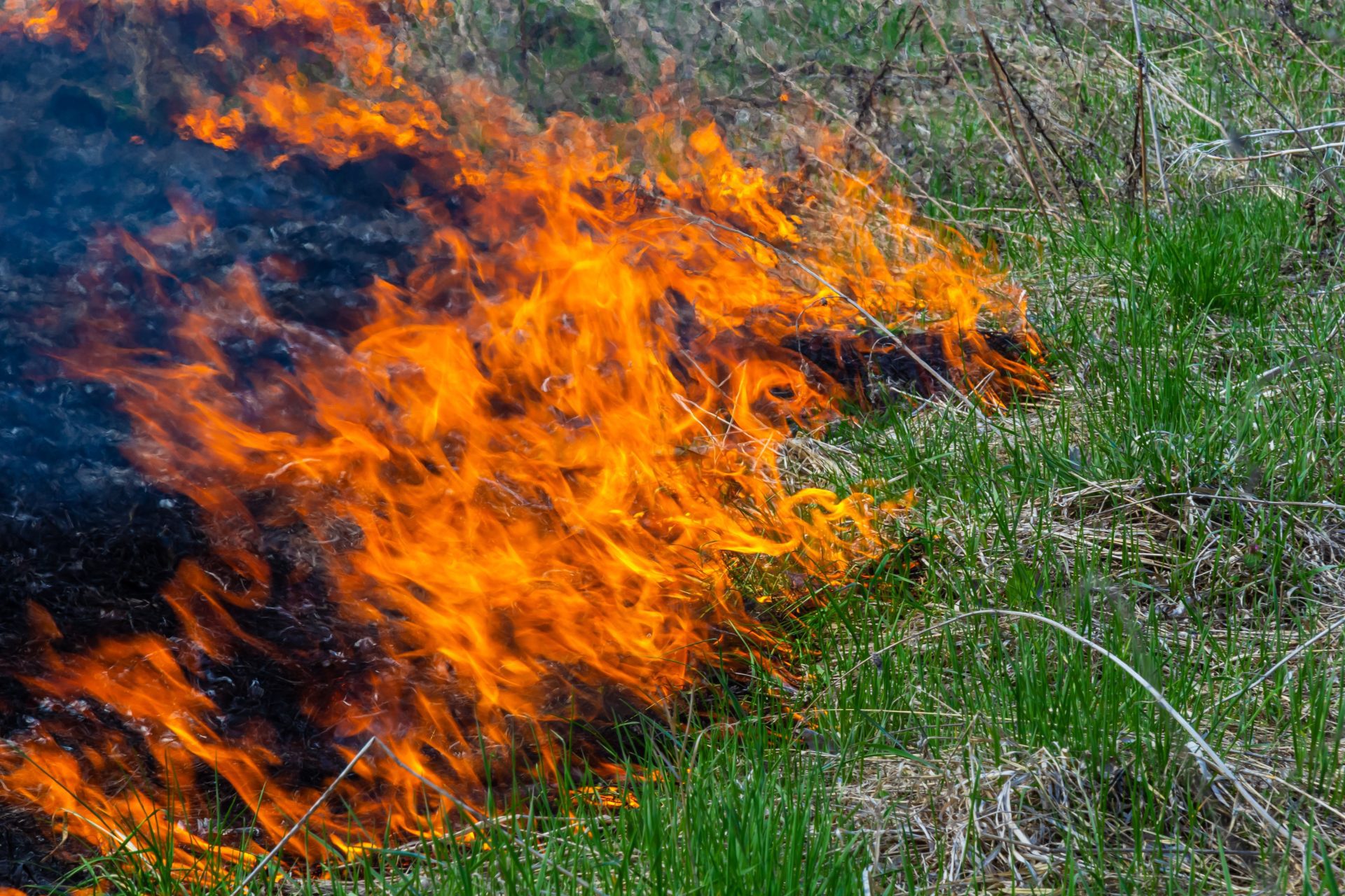 Gestion ancestrale des feux par les Australiens pour l'agriculture