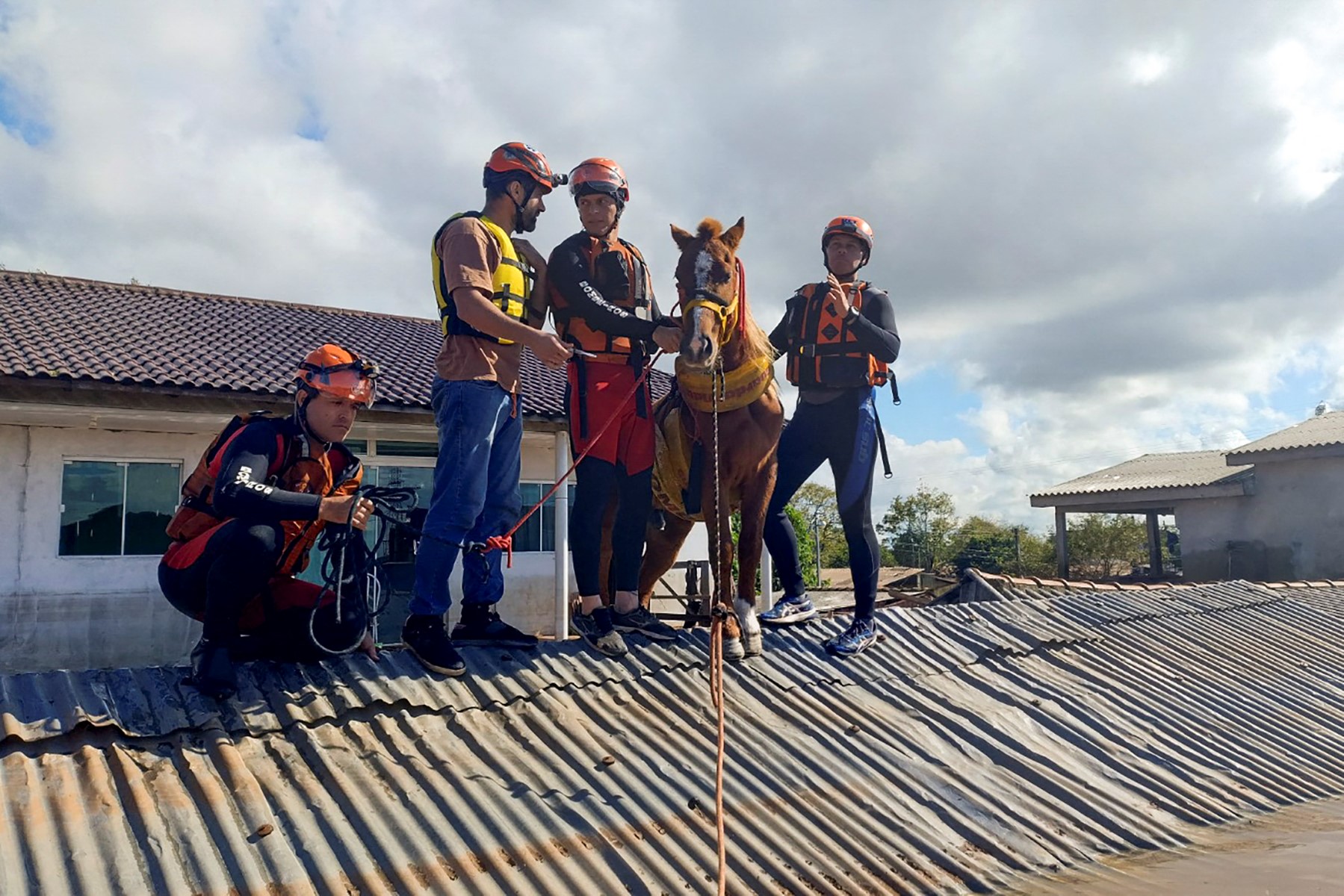 Incroyable sauvetage du cheval Caramelo coincé sur un toit au Brésil