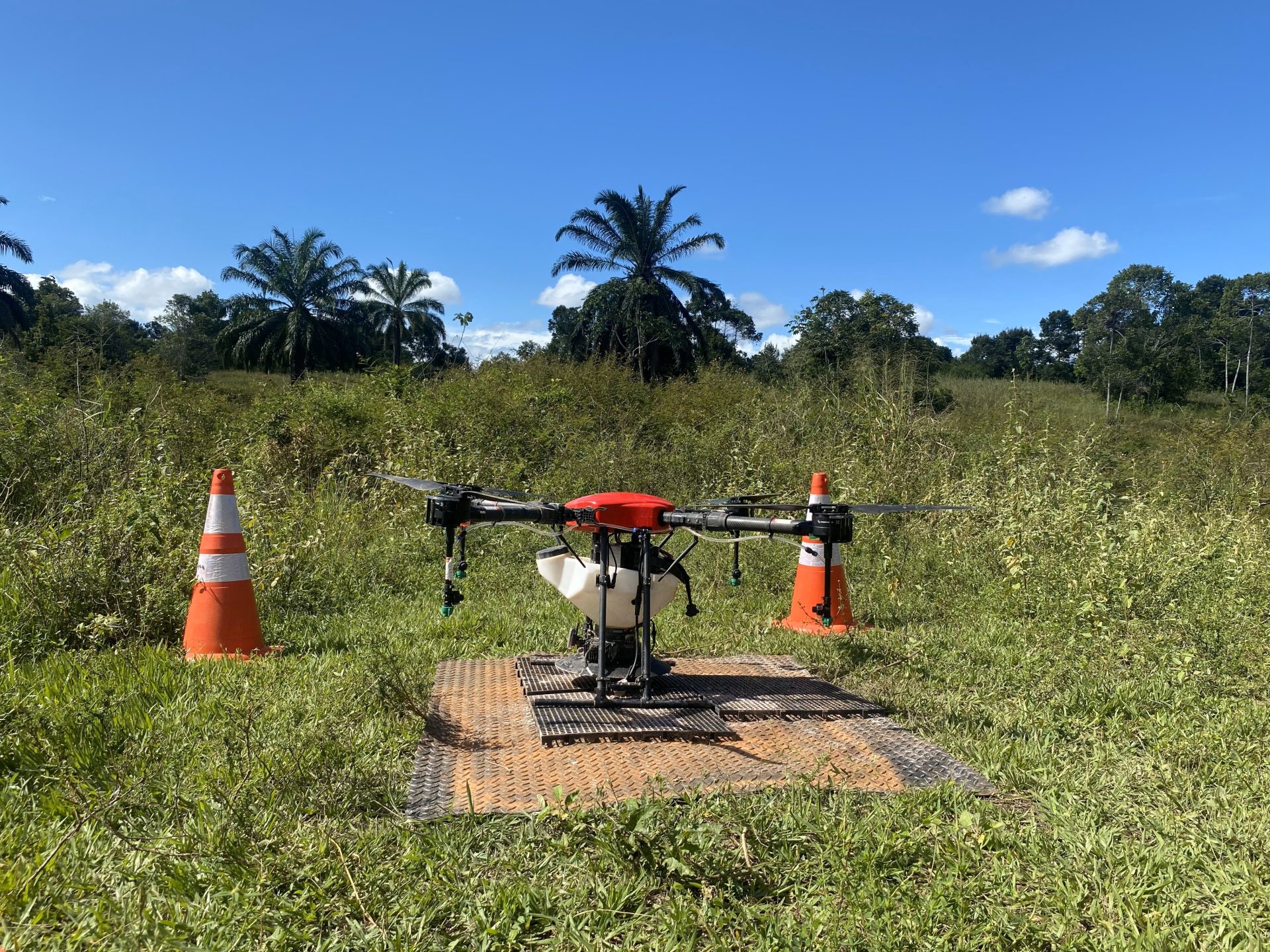 Les drones semeurs remède à la déforestation mondiale