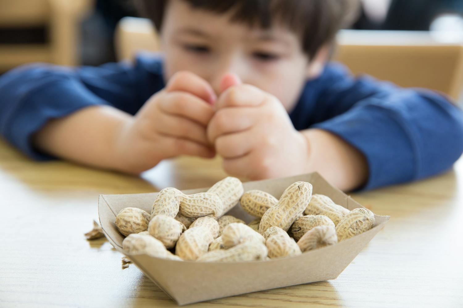 Réduisez le risque d-allergie à l-arachide chez votre enfant dès le jeune âge.jpeg