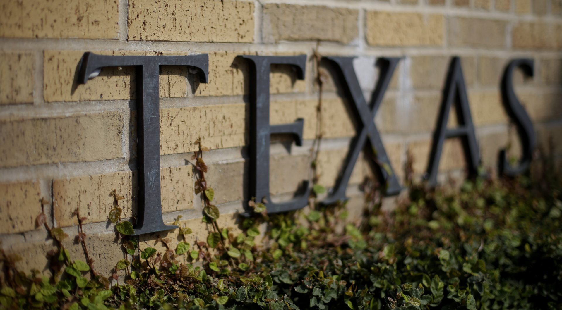 Université du Texas - Mix d'écoles, musées et entreprises