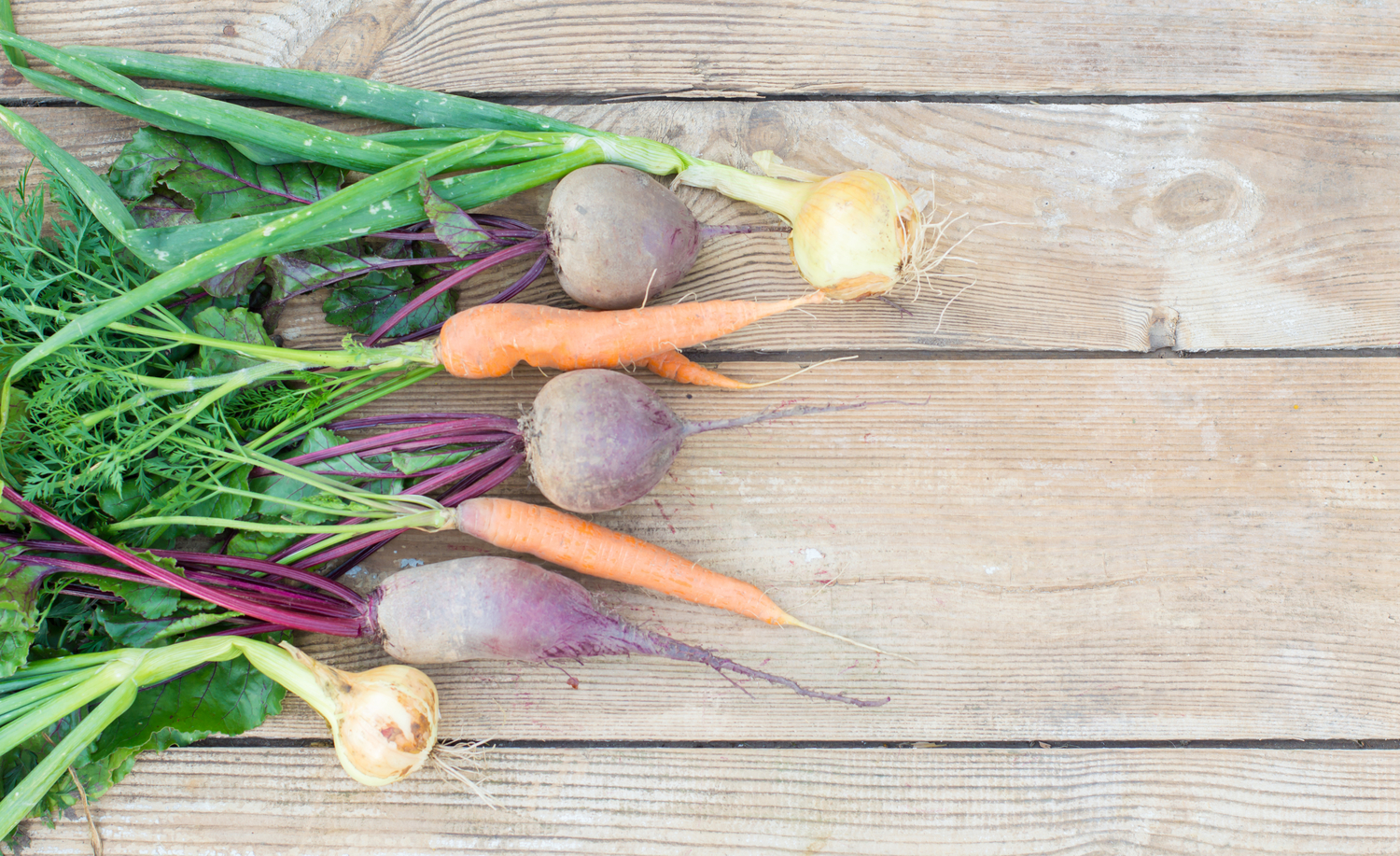 Utiliser les fanes de légumes en cuisine et les rendre délicieuses
