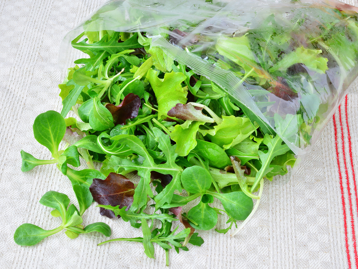 L'avis d'un ingénieur agro-alimentaire sur les salades en sachet