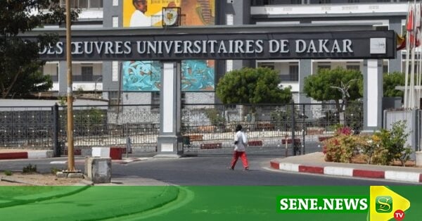 Bacheliers en danger : Campusen ferme, l'orientation à risque