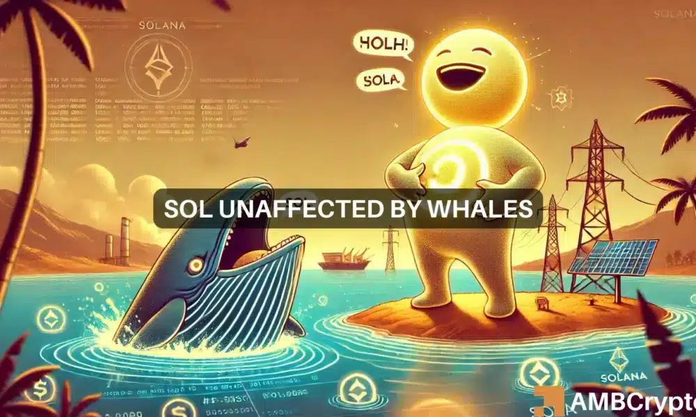 Un analyste mise sur un rebond du SOL à 180 $ malgré la vente d'une baleine