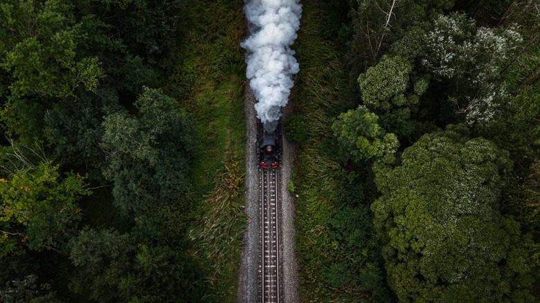 Train circulant dans la forêt russe